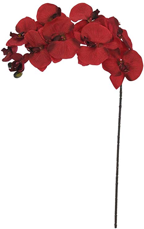 Loja Duarte Presentes | Orquídea Vermelha galho